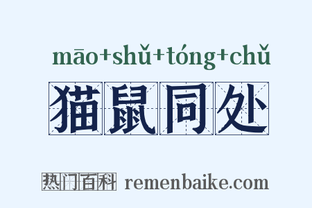 猫鼠同处是什么意思的图片
